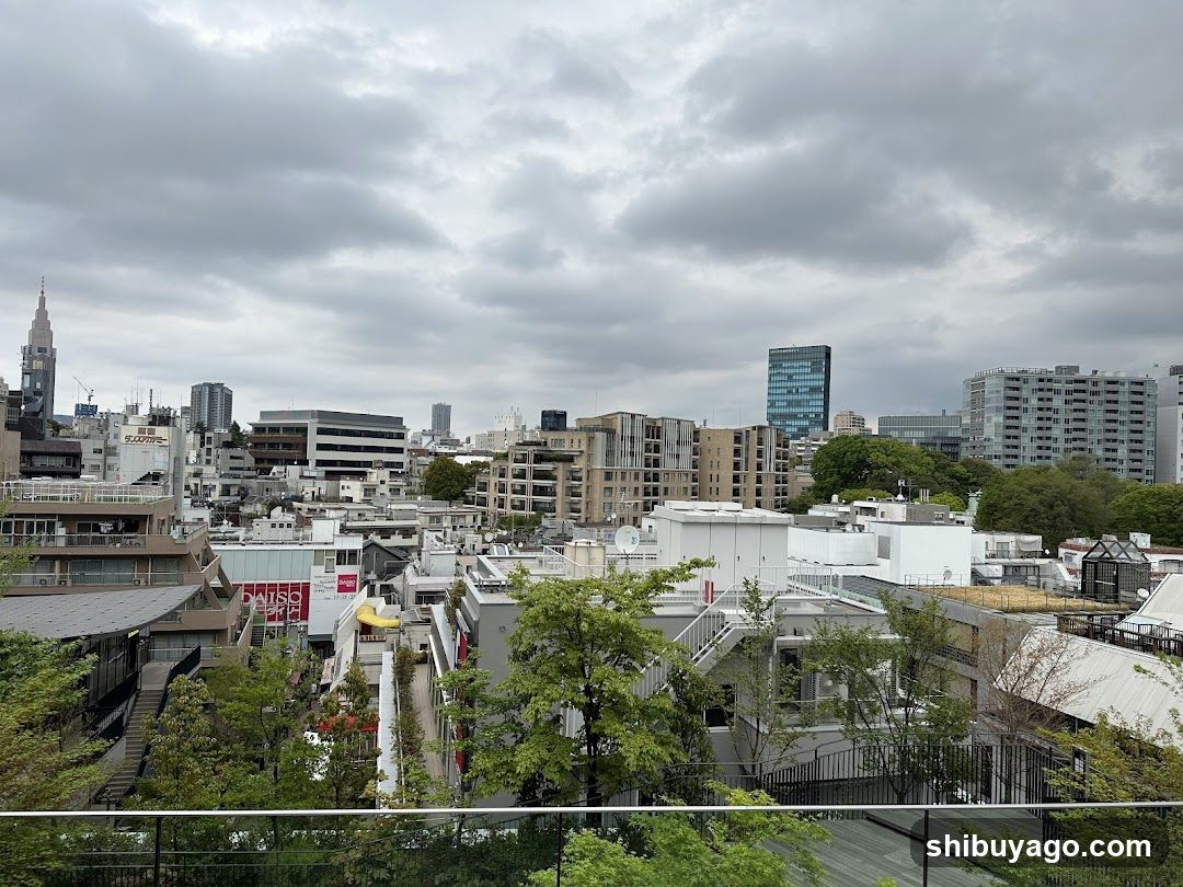Cityscape with Overcast Sky
