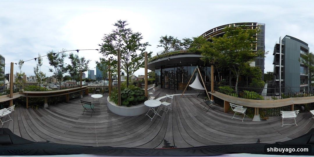 Rooftop Terrace with Outdoor Seating and Greenery