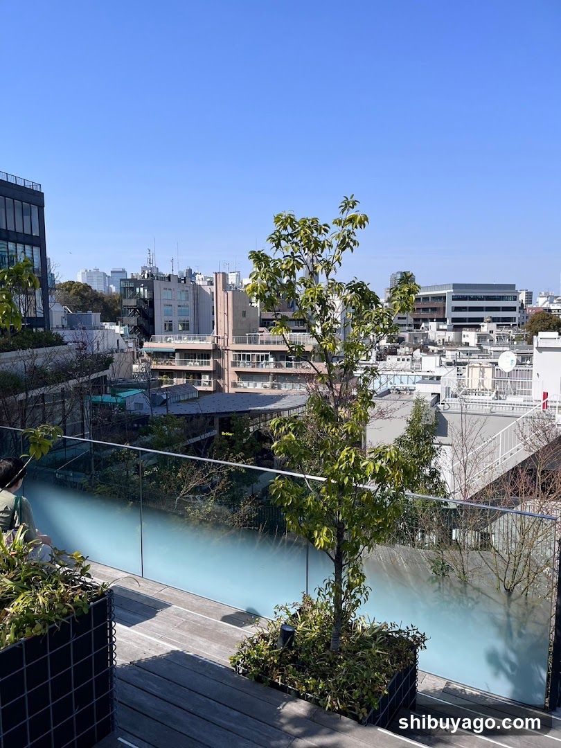 Rooftop View with Urban Landscape