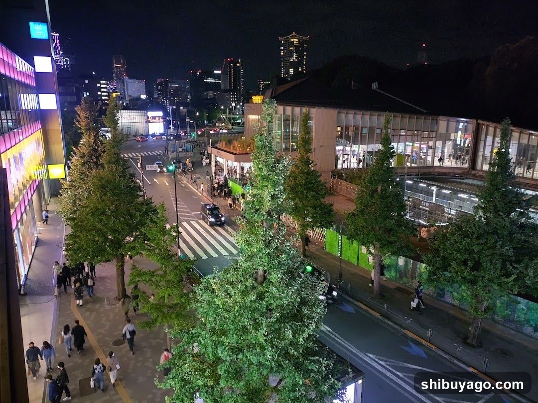 Night City Street View