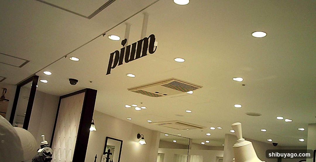 Interior of a store with ceiling lights and signage