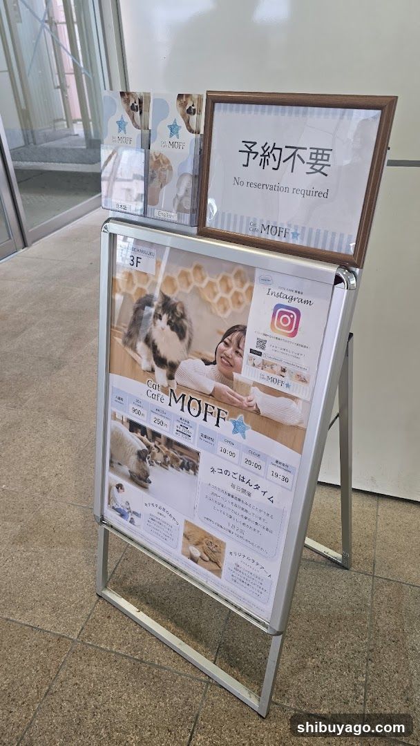 Cat Cafe MOFF Signage