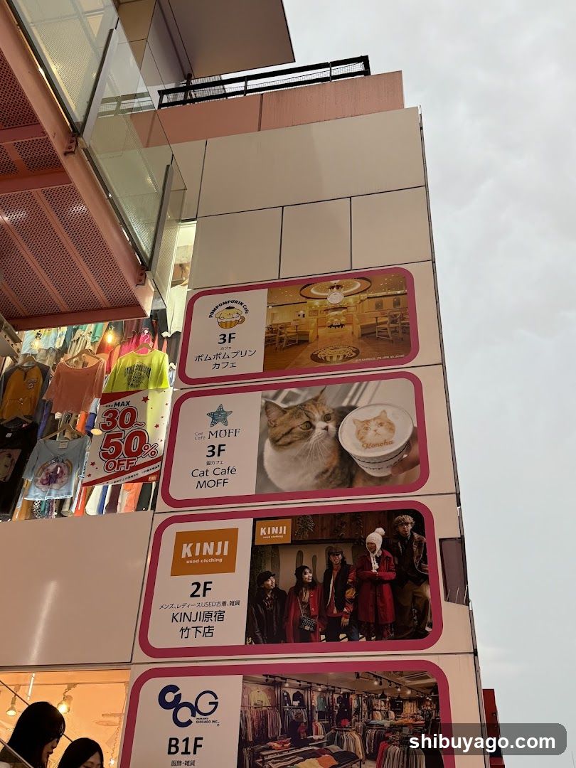Storefront Signage with Cat Cafe and Clothing Store Ads