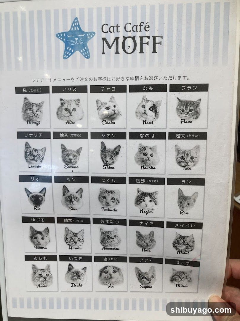 Cat Café MOFF Menu