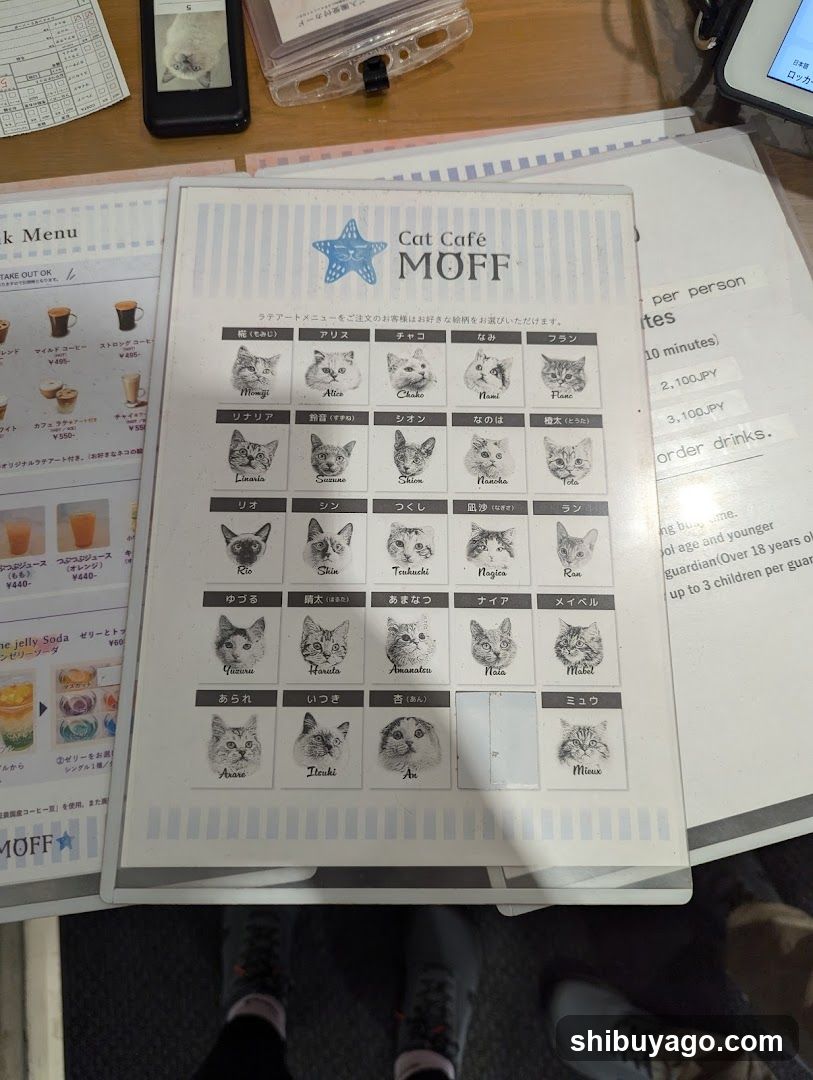 Cat Cafe MOFF Menu Display