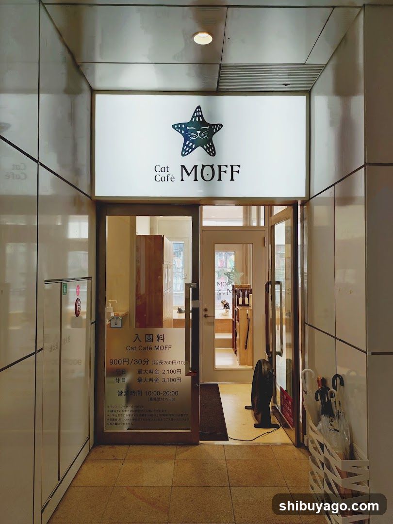 Cat Cafe MOFF