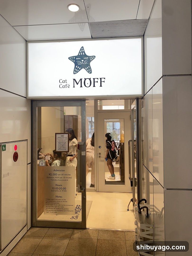 Exterior view of Cat Café MOFF storefront with illuminated signage featuring a starfish logo and name. Glass doors open to interior where patrons are visible. Admission price sign on door indicates ¥3,000 per 45 minutes.