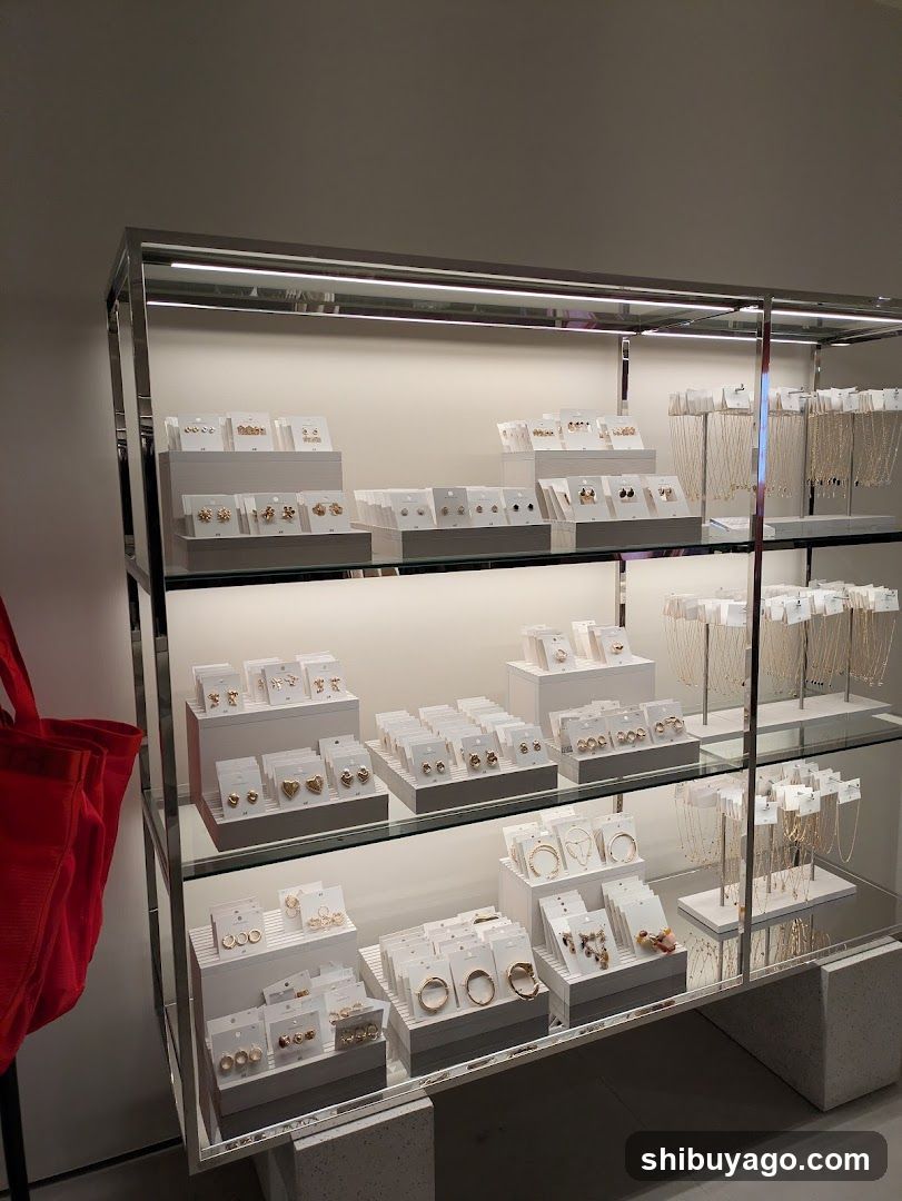 Jewelry Display Case
