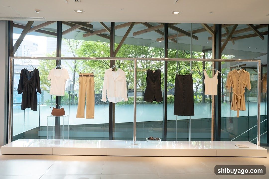 Fashion Display