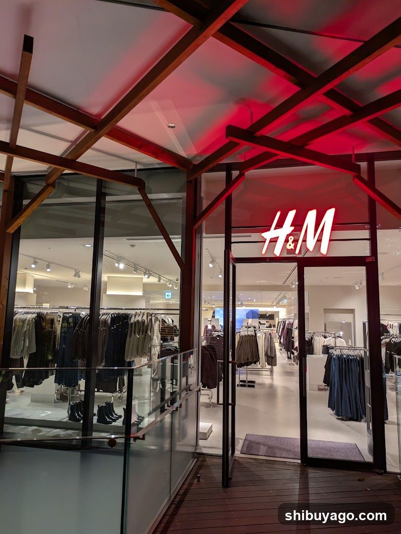 H&M