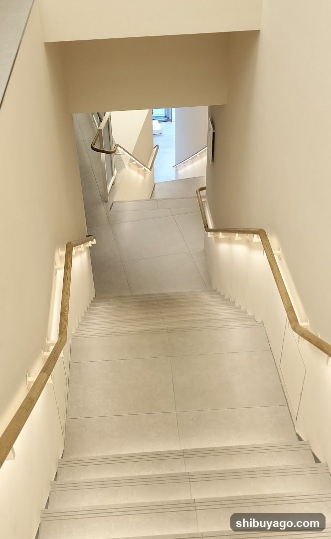 Modern Staircase Interior