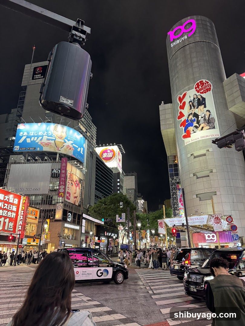 Shibuya Crossing Night View