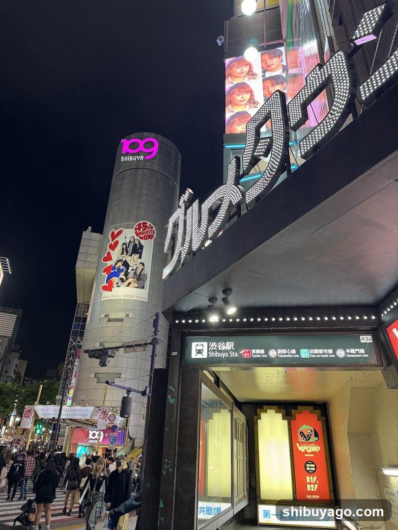 Shibuya Station Entrance Night View