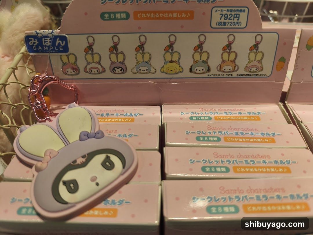 Sanrio Character Keychain Display
