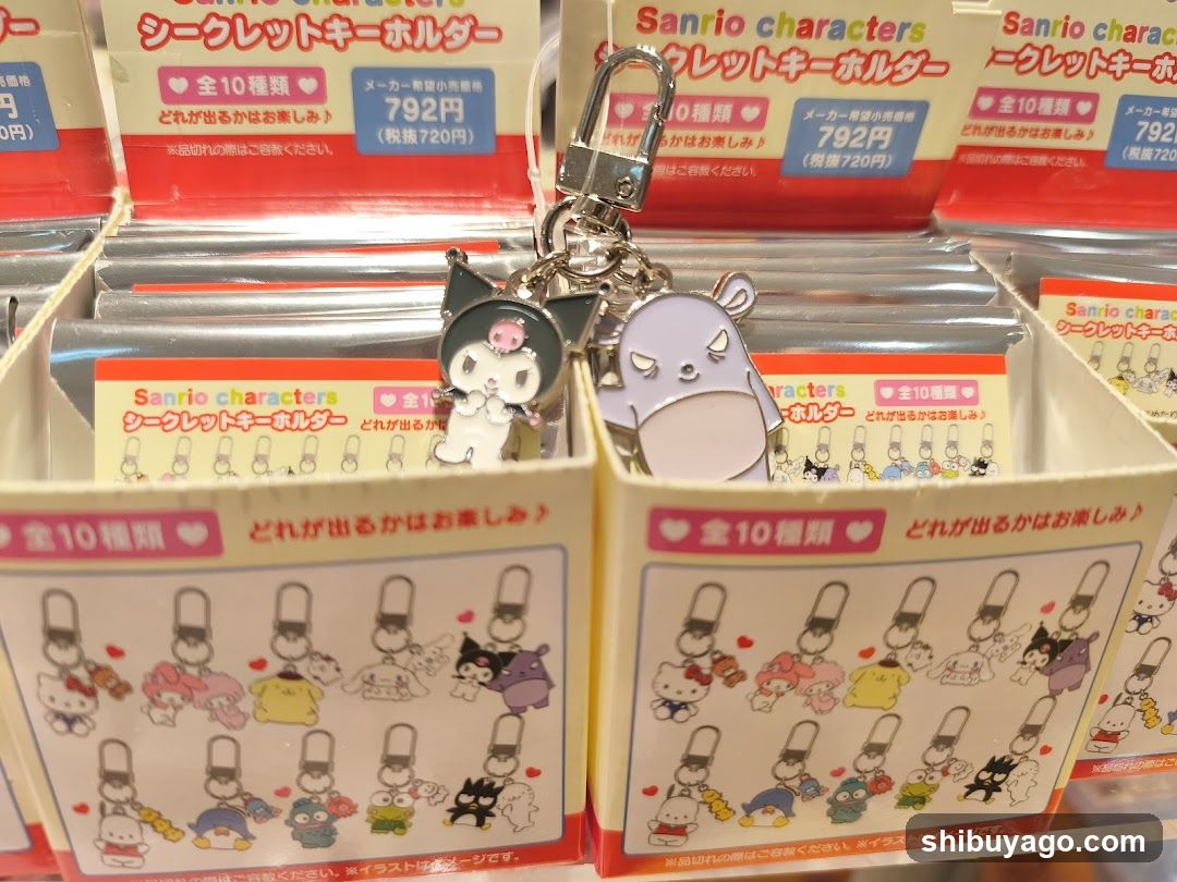 Sanrio Secret Key Holder Display