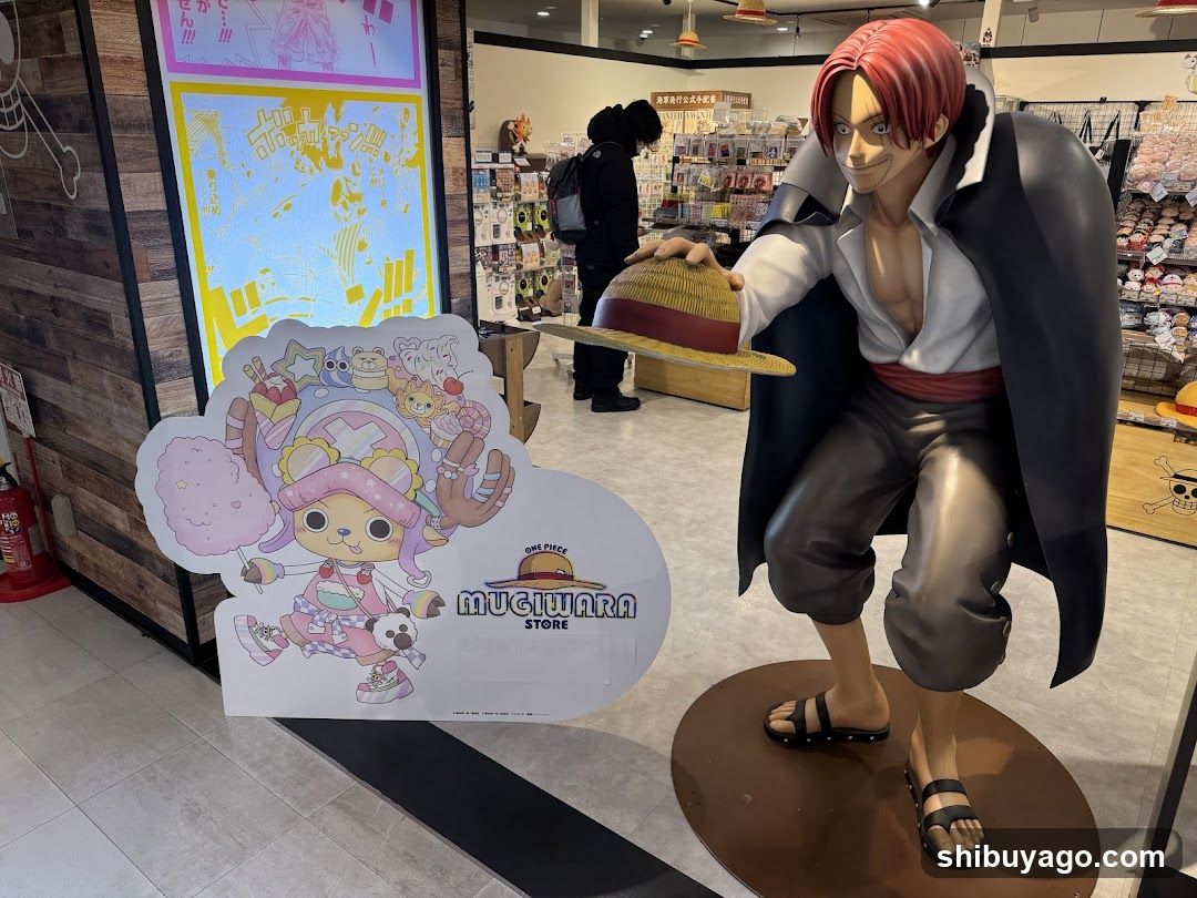 One Piece Store Interior Display
