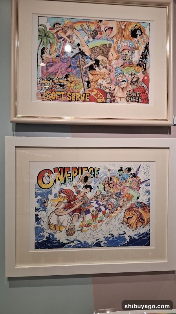 One Piece Art Display