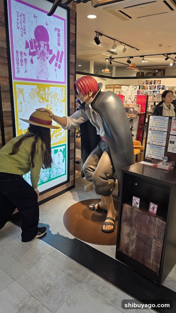 One Piece Shop Interior Display