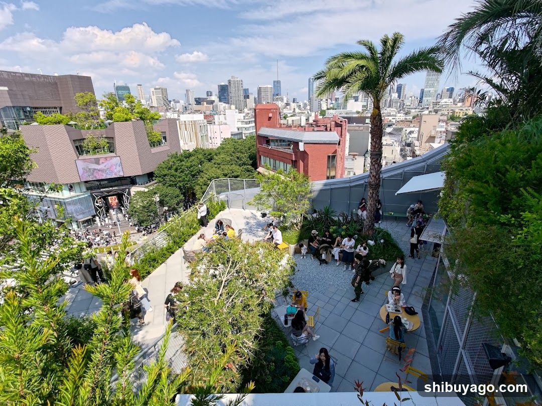 Rooftop Terrace with City View