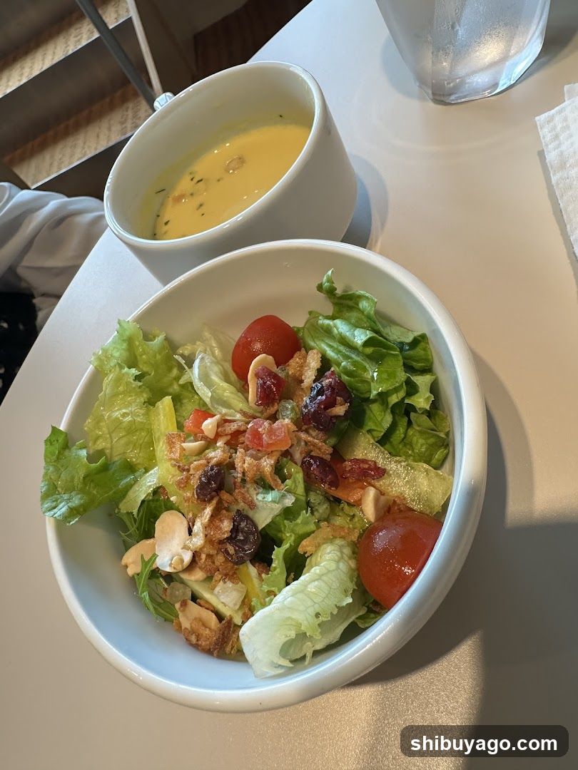 Salad and Soup Bowl