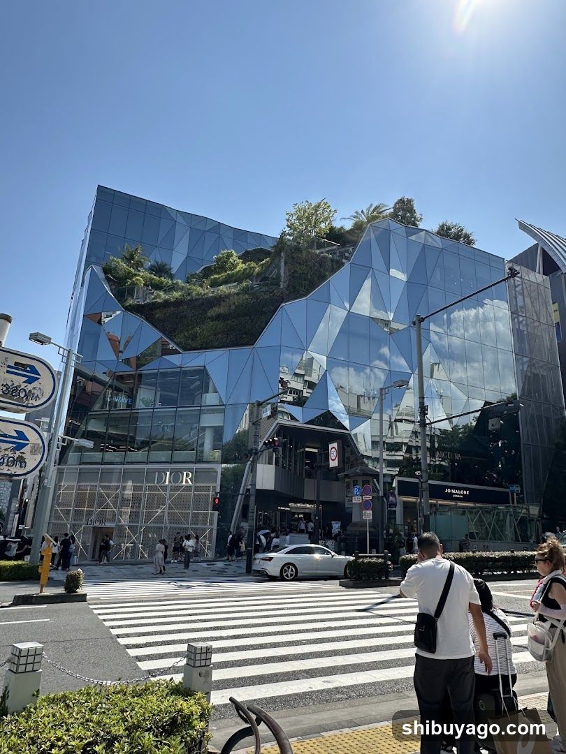 Dior Storefront in Tokyo