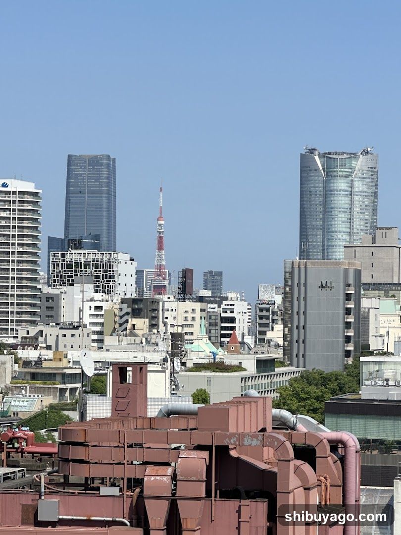 Tokyo Cityscape View