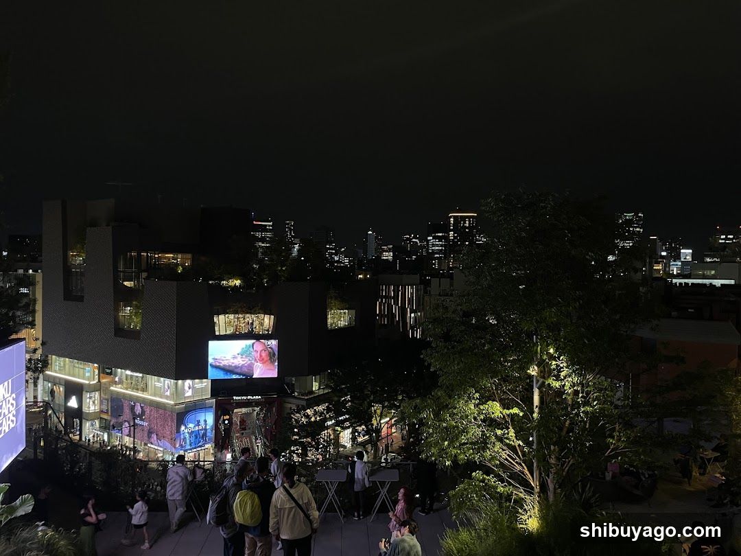 Night City View with Outdoor Screen