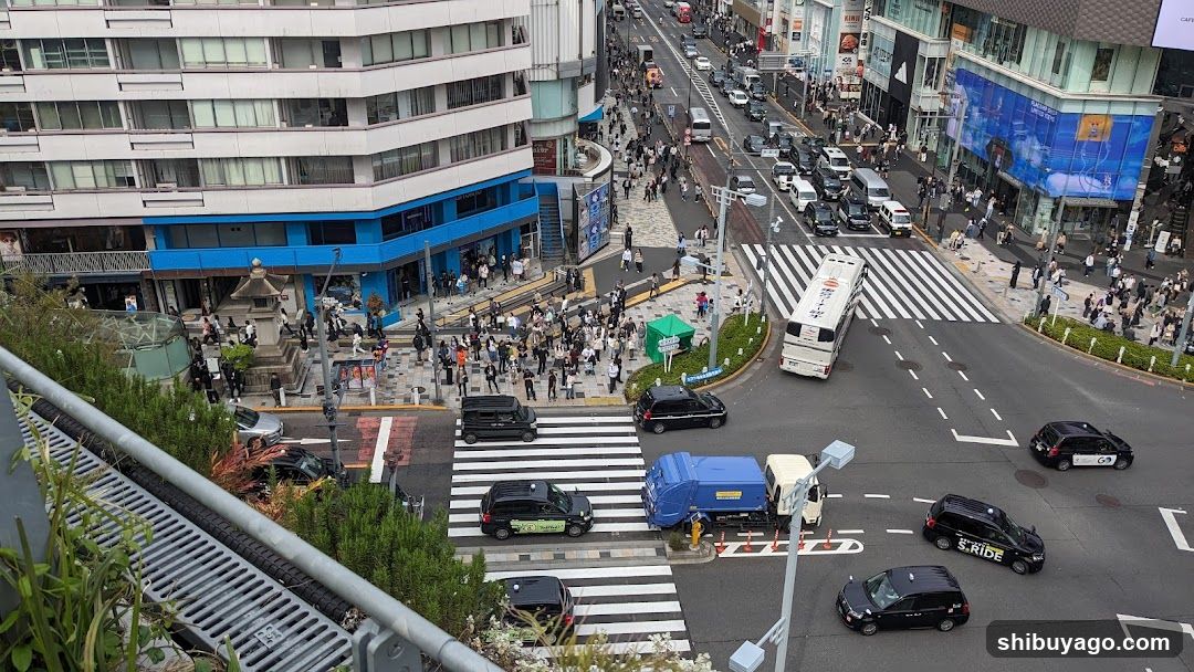 Busy Urban Intersection with Pedestrians and Vehicles