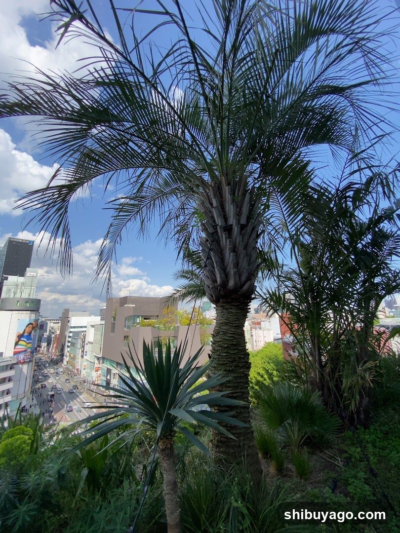 Urban Skyline with Palm Trees