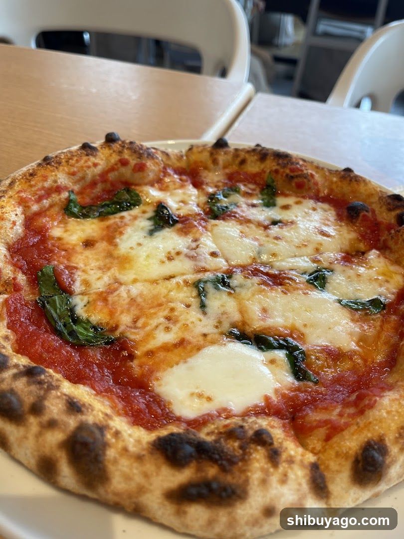 Pizza with Basil and Cheese