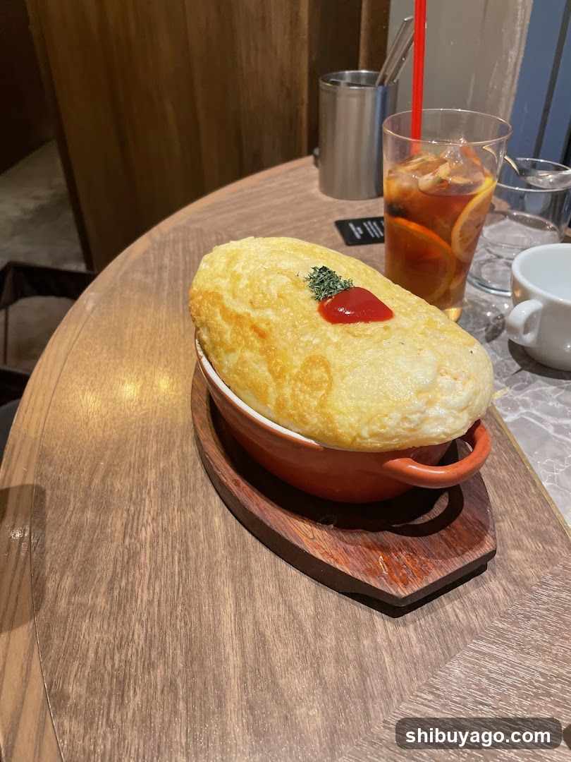 Omelette Dish with Ketchup and Garnish