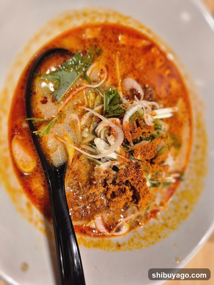 Spicy Noodle Soup with Garnish