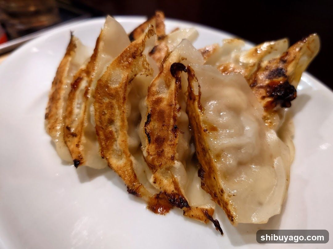 Gyoza on a white plate