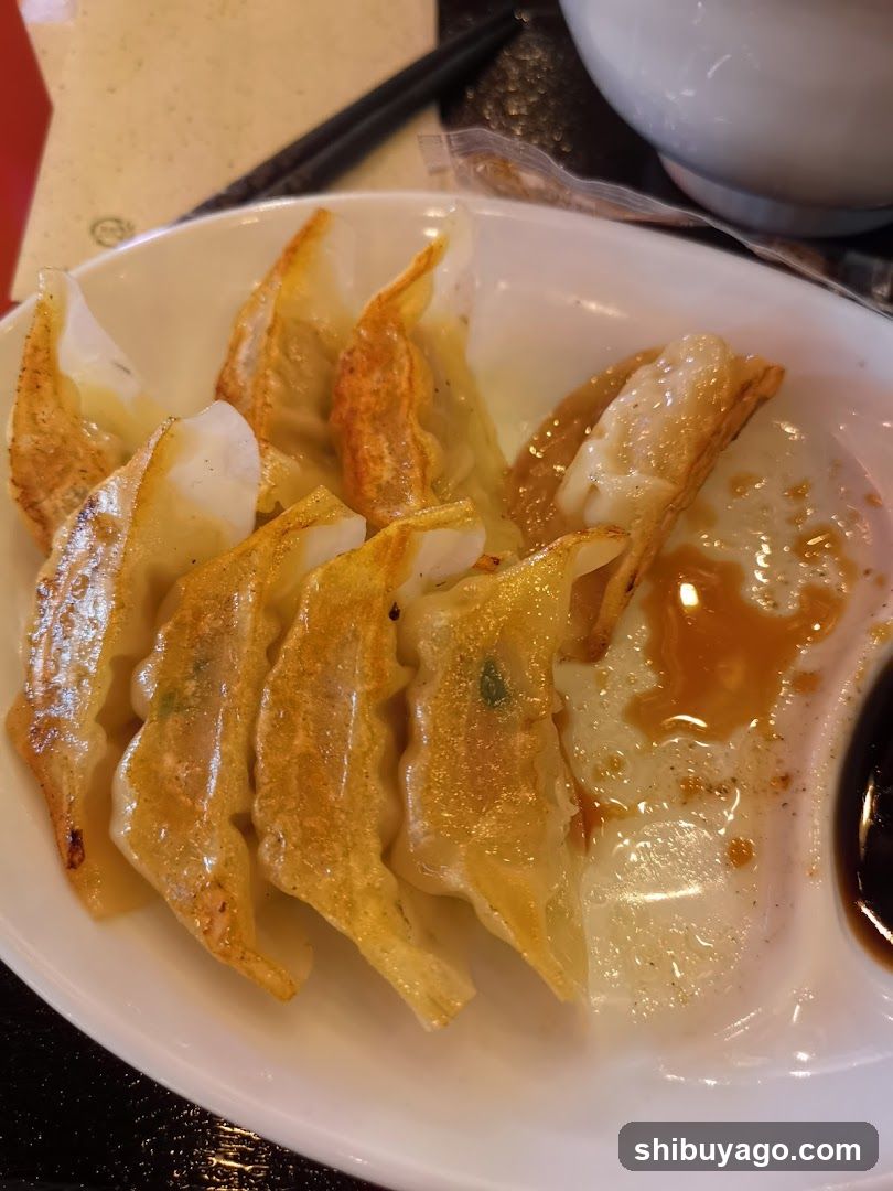 Gyoza with Sauce