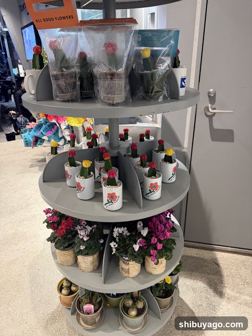 Flower Display Stand