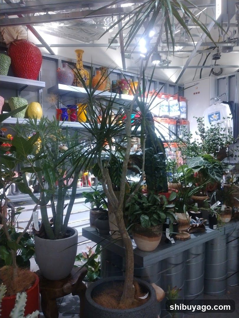 Indoor Plant and Decor Display