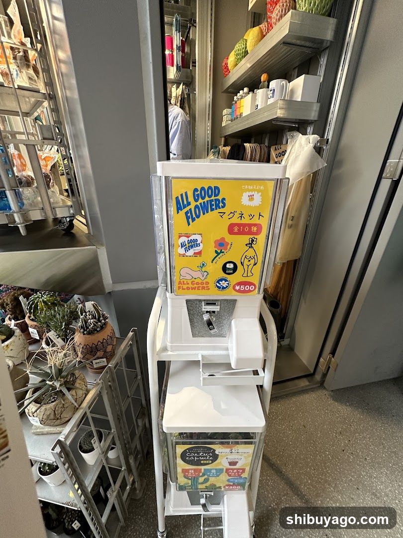 Gumball Machine in Store Interior