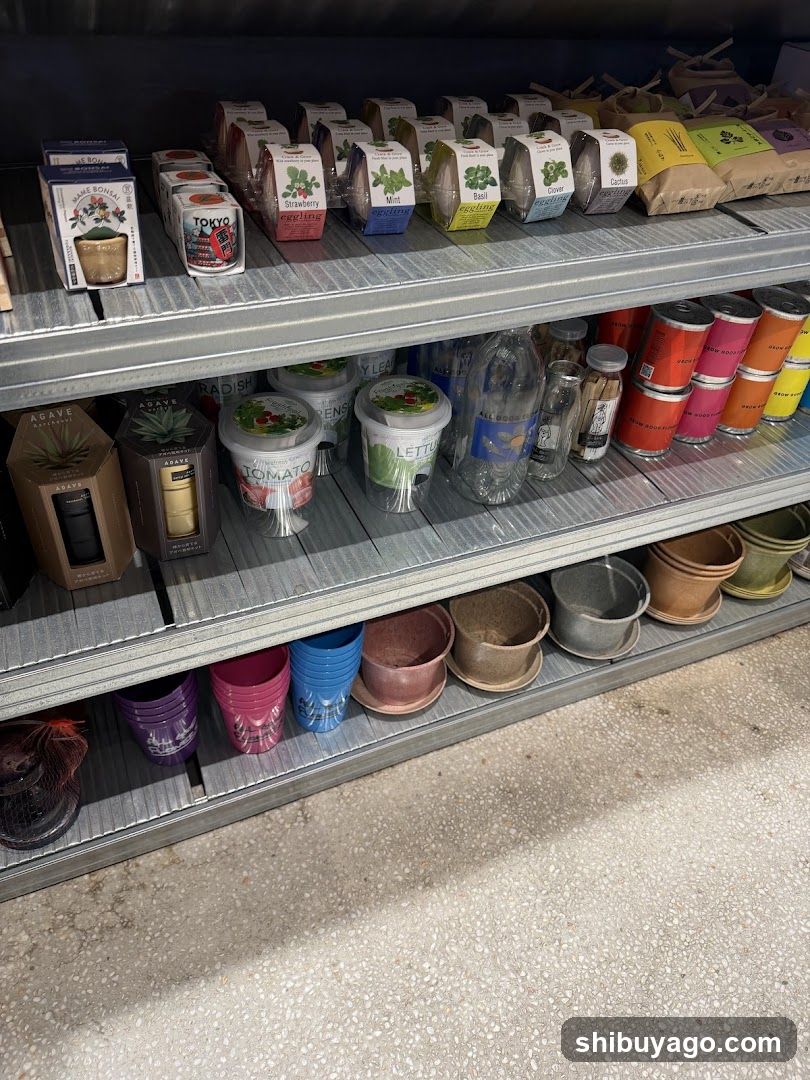 Shelved Goods Display