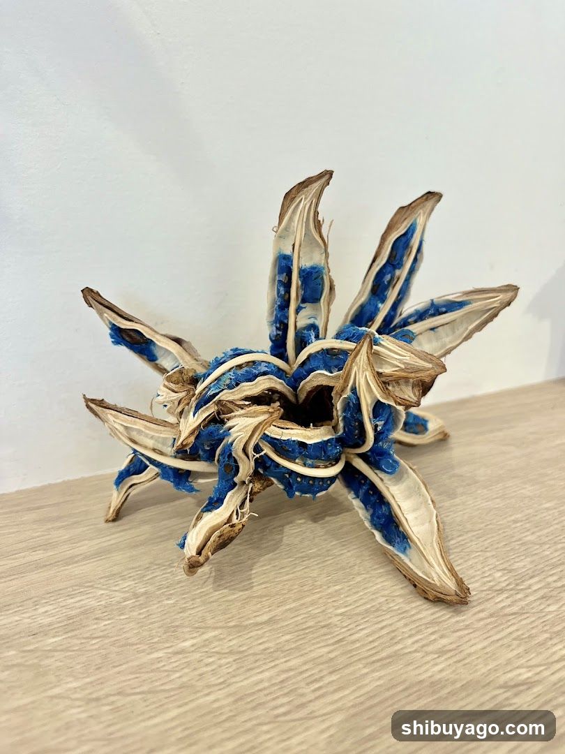 Dried Plant Specimen with Blue Dye