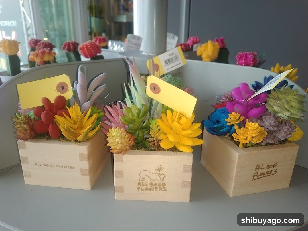 Succulent Arrangements in Wooden Boxes