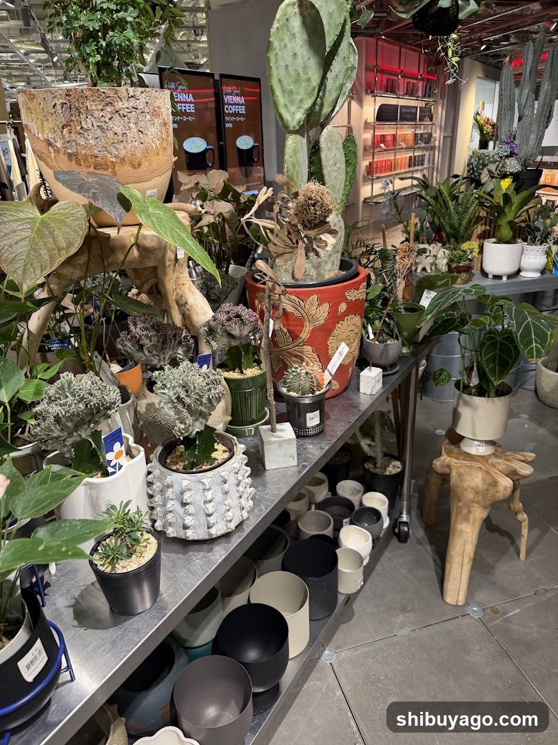 Indoor Plant Shop Interior