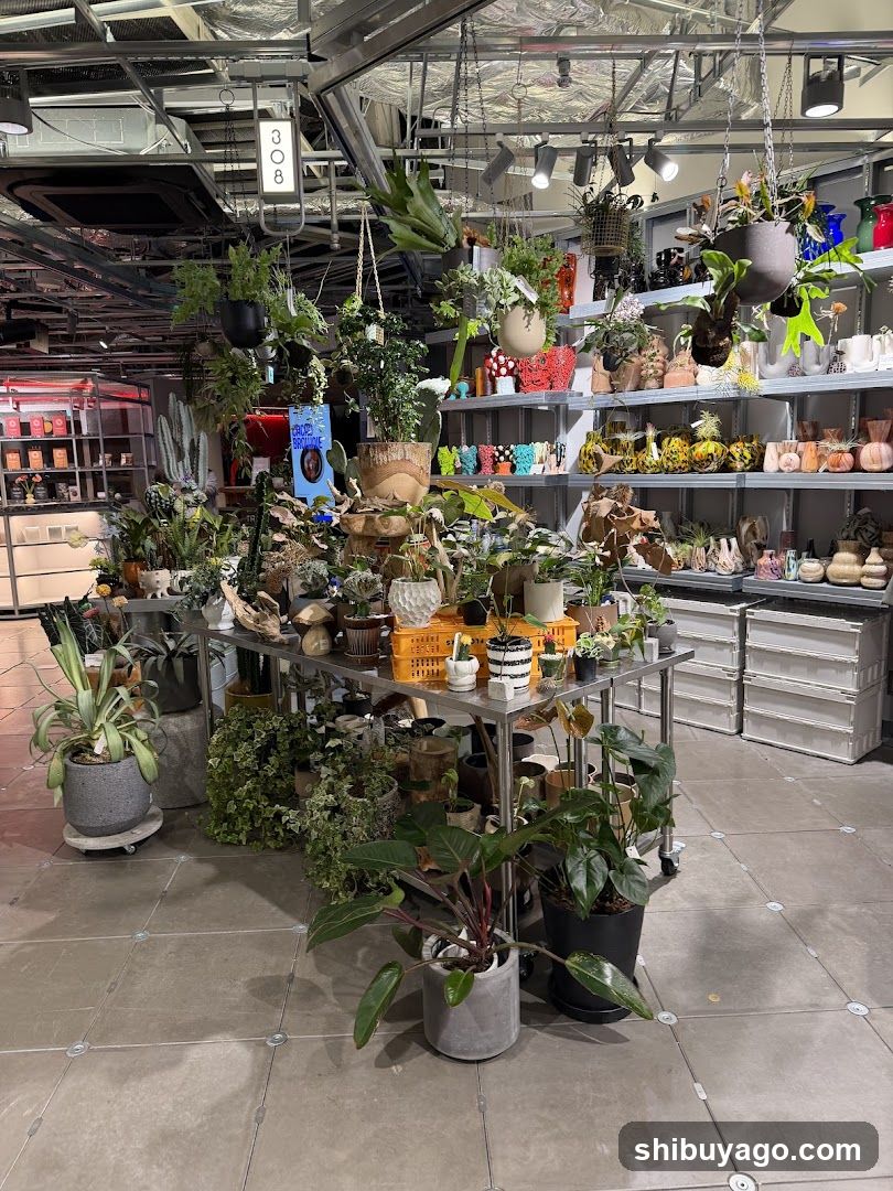 Plant Shop Interior Display