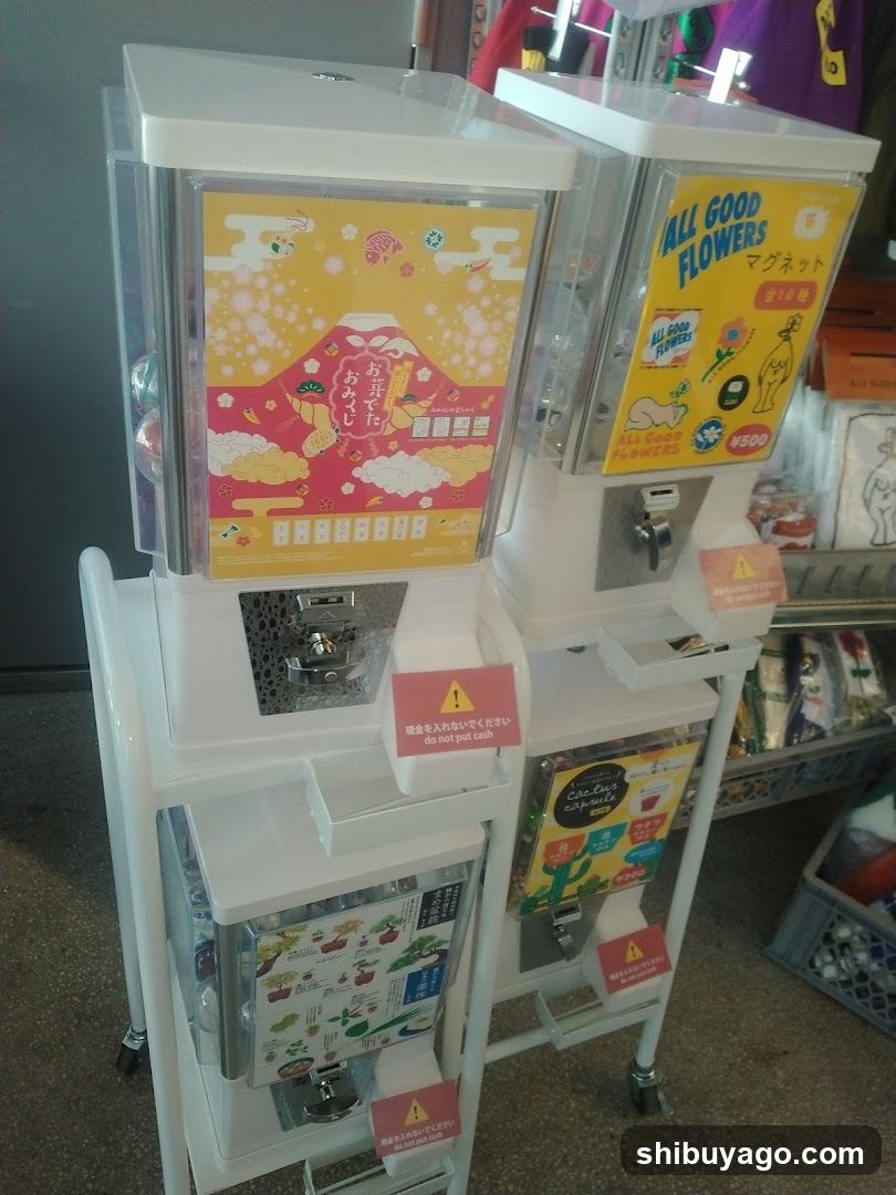 Gumball Machine Display