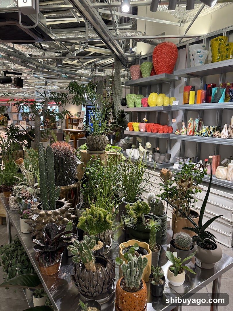 Indoor Plant and Decor Display