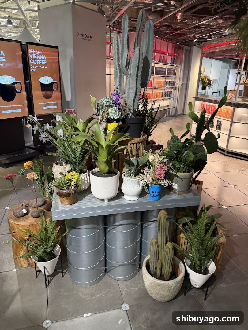 Indoor Plant Display with Coffee Machines