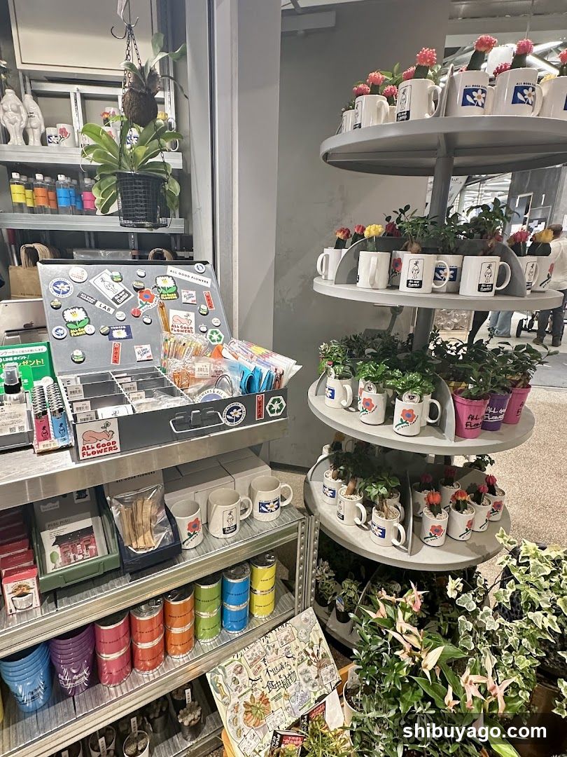 Gift Shop Interior Display