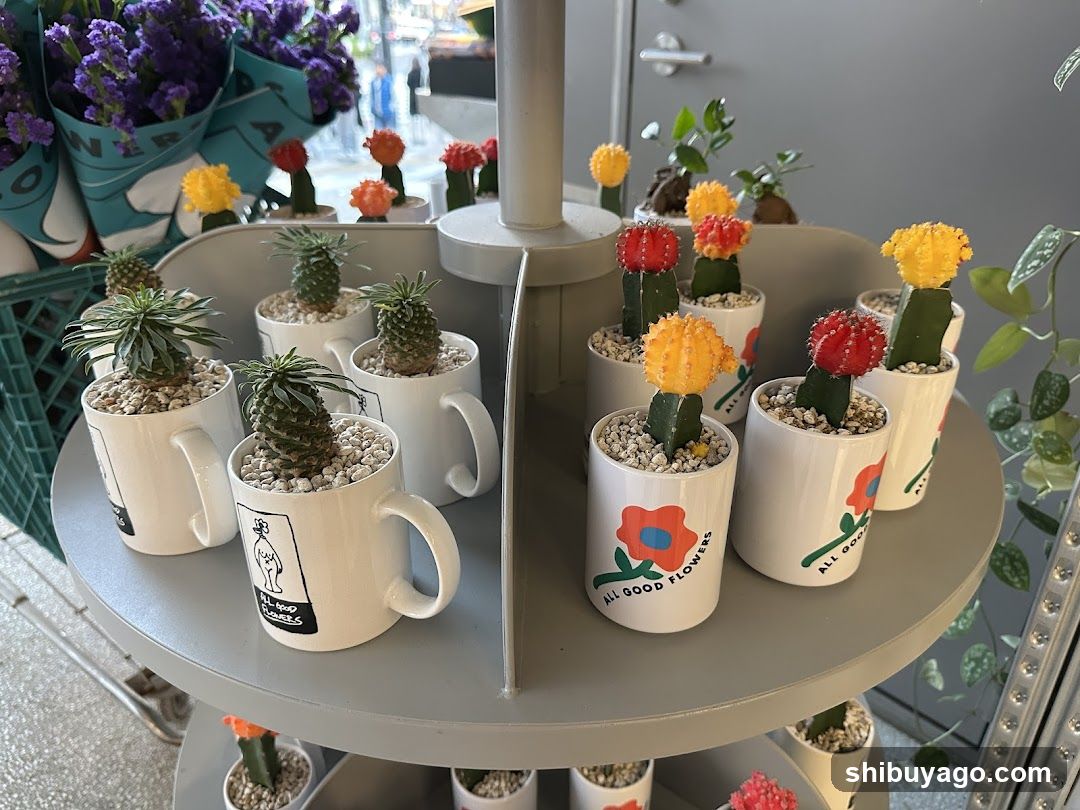 Cactus and Succulent Plant Display in Mugs