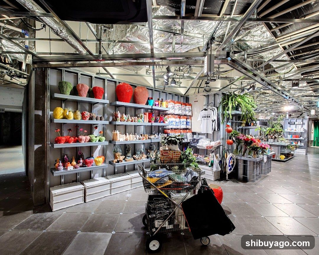 Interior of a retail store with shelves and products