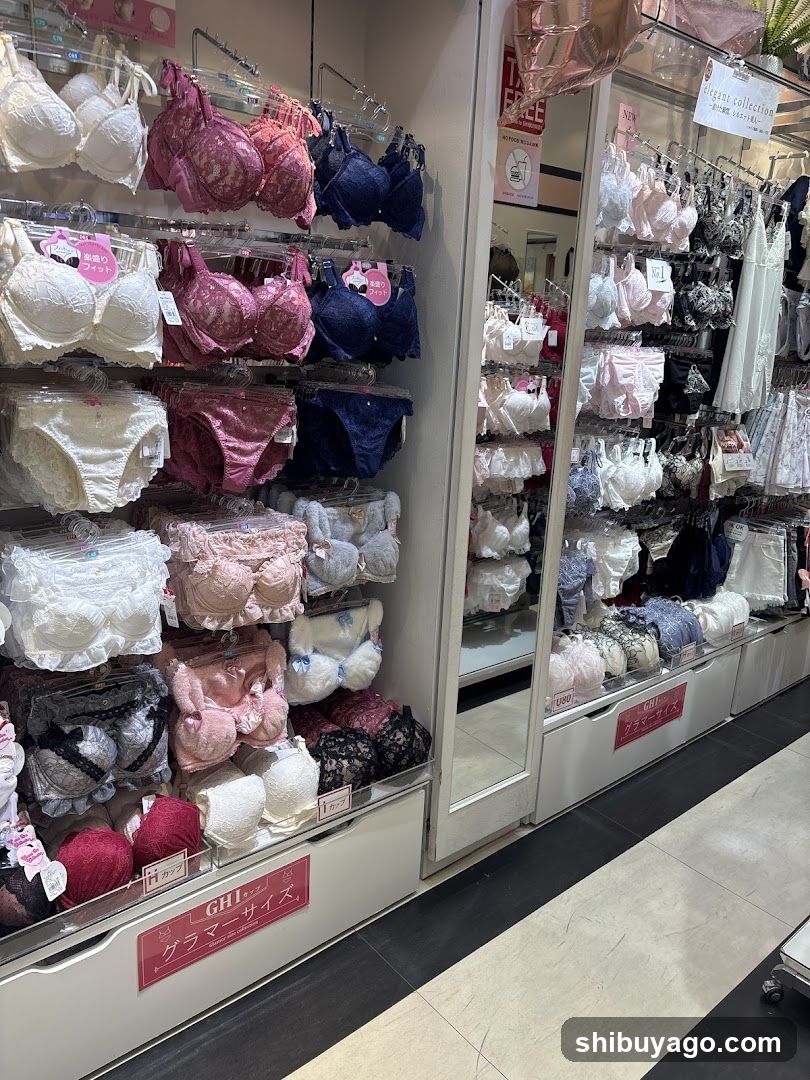 Lingerie Store Interior Display