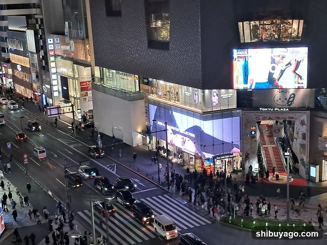 Tokyo Plaza Night View